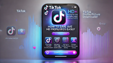 TikTok Profile Picture Downloader